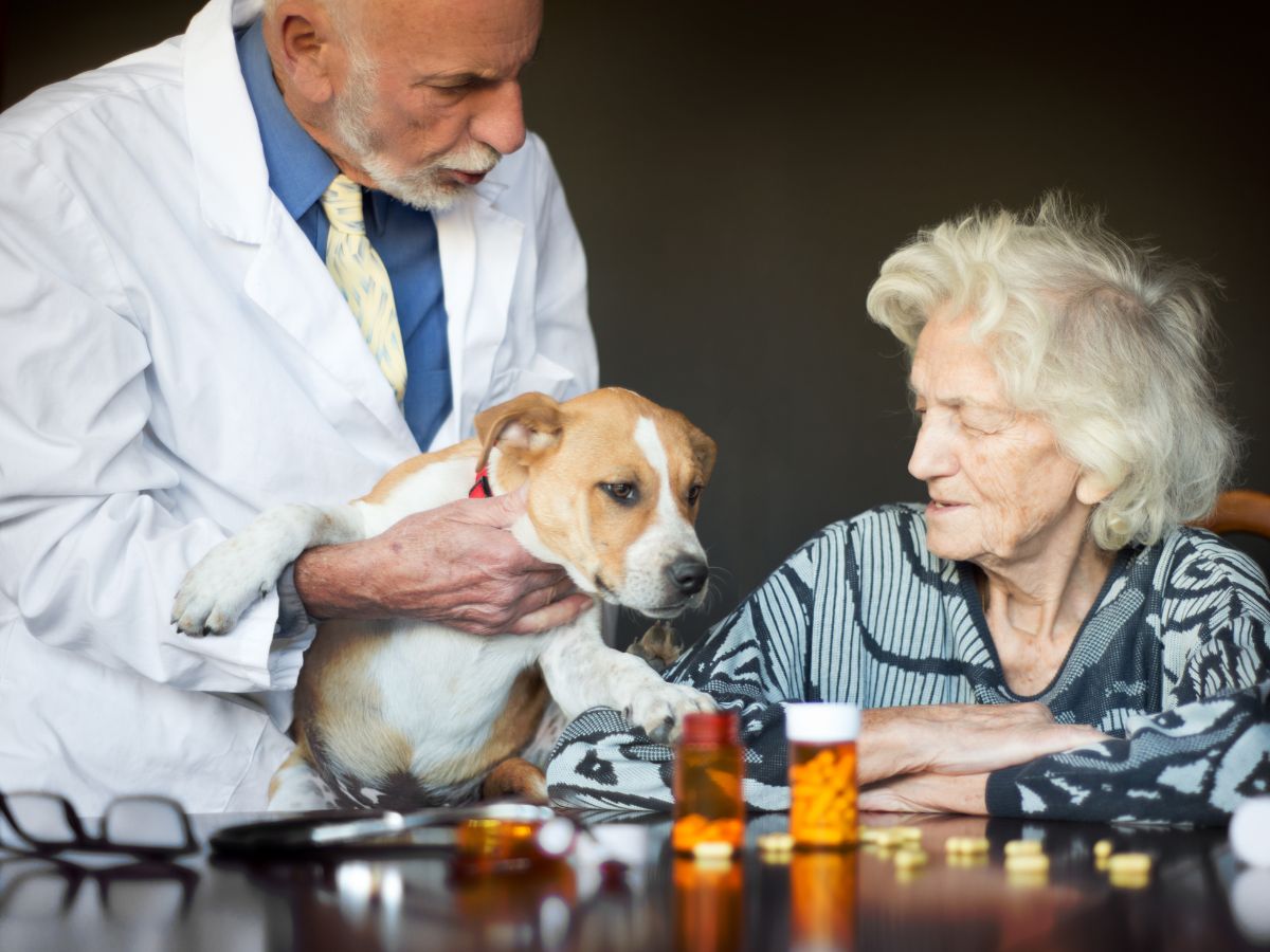 Pet Therapy · Corso avanzato