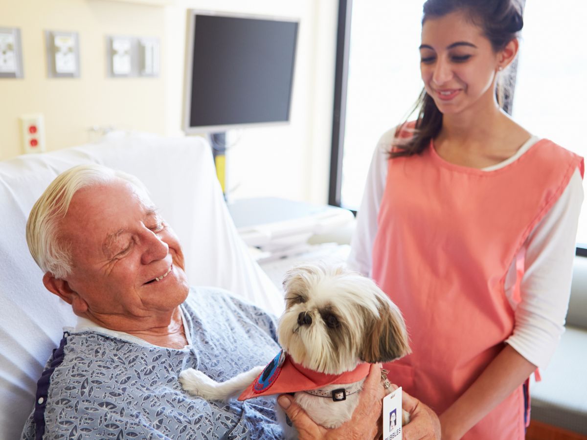 Pet Therapy: il primo passo